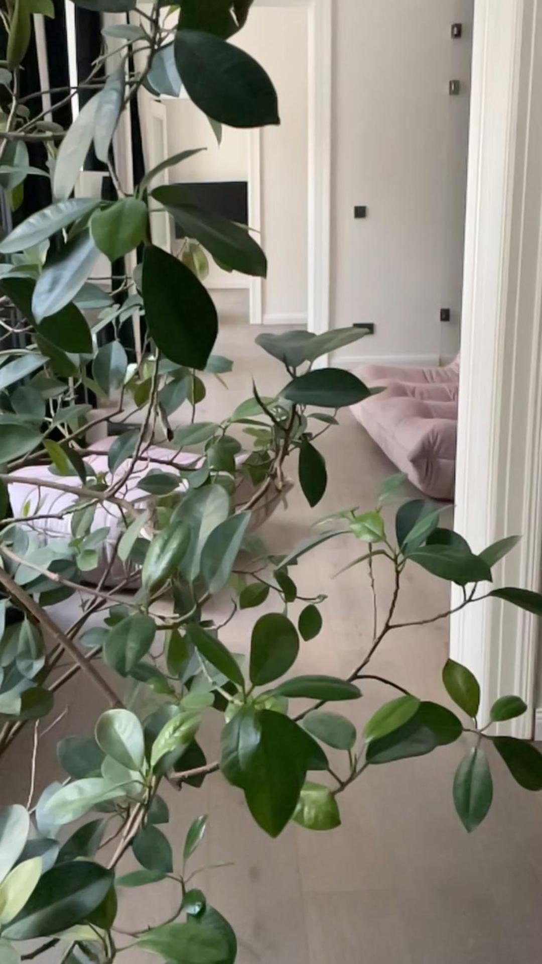 Apartamento Kaiserin Sissi - Downtown